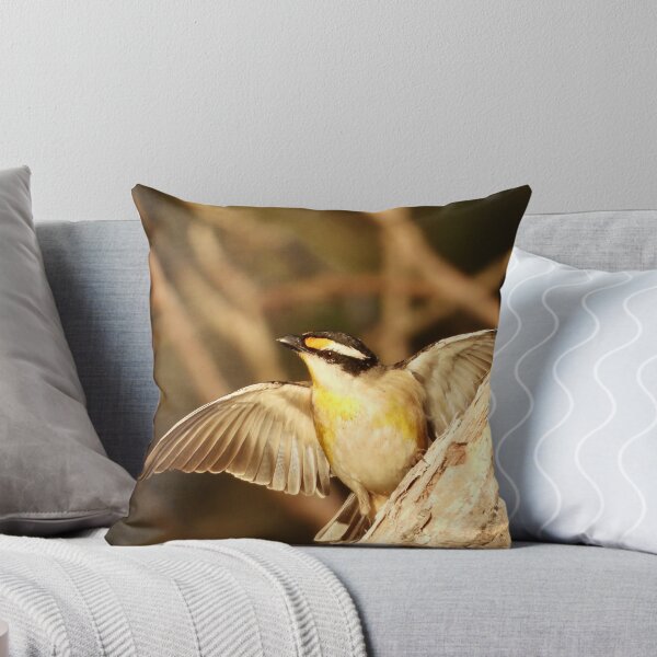Item preview, Striated Pardalote at Dundowran Beach designed and sold by Mark Grimsley.