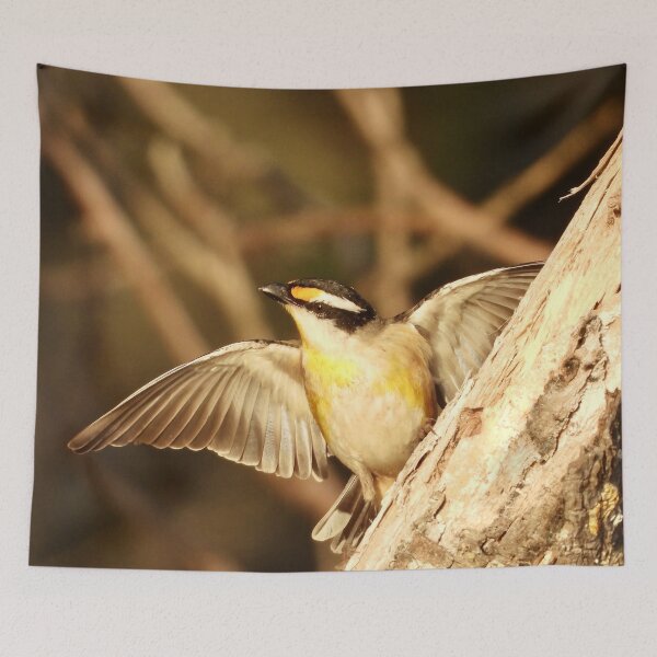 Item preview, Striated Pardalote at Dundowran Beach designed and sold by Mark Grimsley.