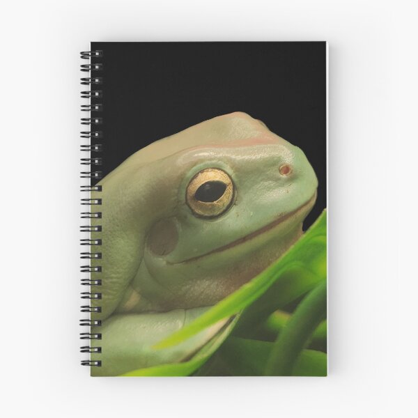 Item preview, White’s Tree Frog Photograph designed and sold by Alexandrea Lake.