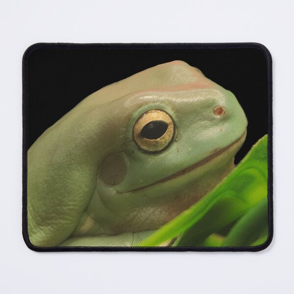 Item preview, White’s Tree Frog Photograph designed and sold by Alexandrea Lake.