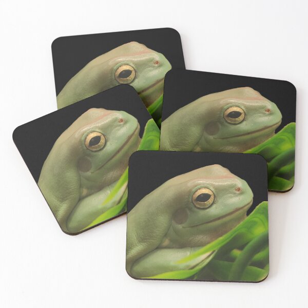 Item preview, White’s Tree Frog Photograph designed and sold by Alexandrea Lake.