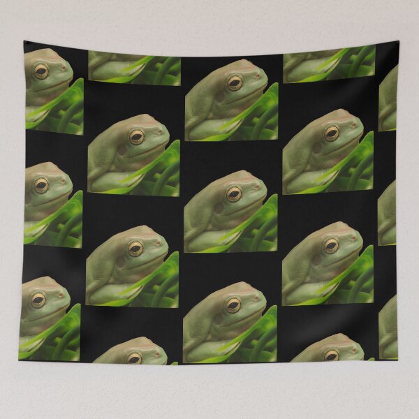 Item preview, White’s Tree Frog Photograph designed and sold by Alexandrea Lake.