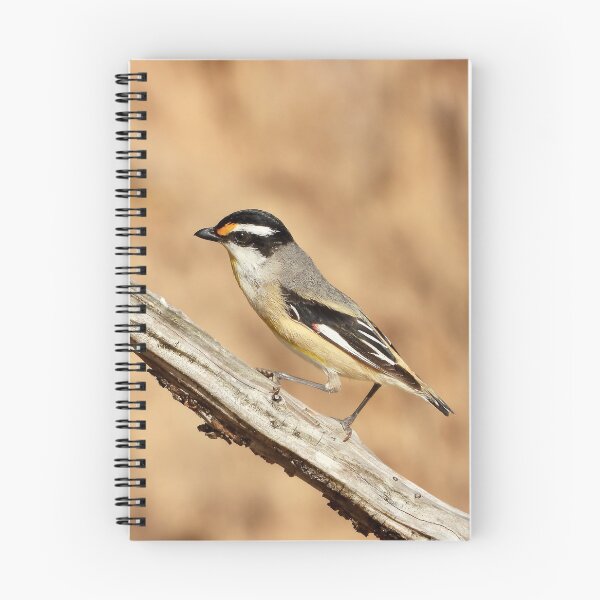 Item preview,  Striated Pardalote at Dundowran Beach on tree designed and sold by Mark Grimsley.