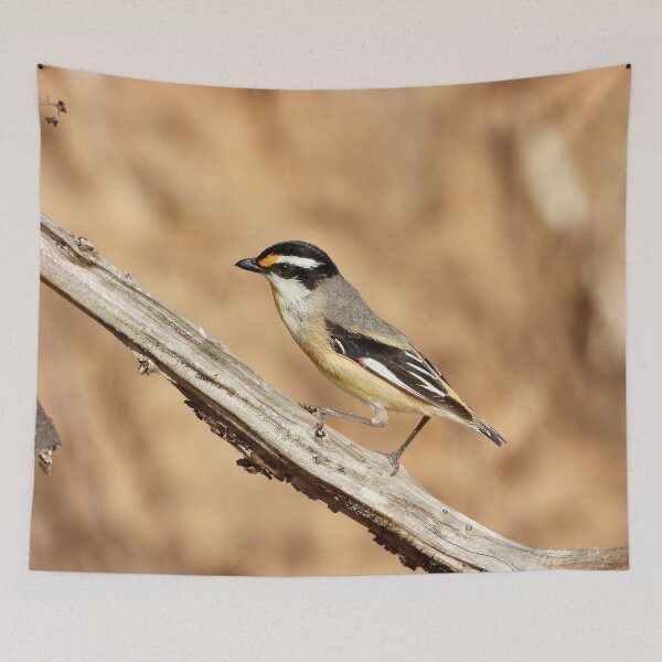Item preview,  Striated Pardalote at Dundowran Beach on tree designed and sold by Mark Grimsley.