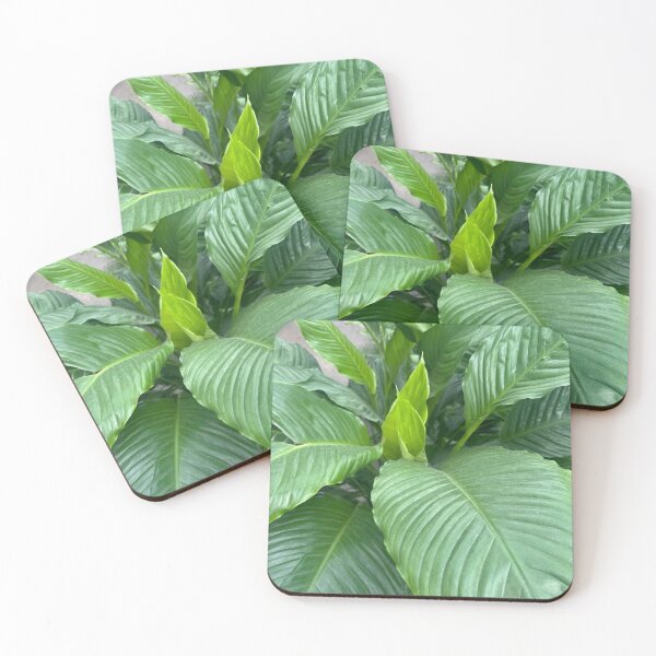 Item preview, Inspire | Nature Photo designed and sold by ShopInspire.