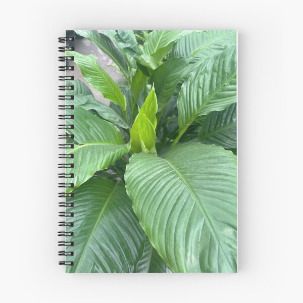 Item preview, Inspire | Nature Photo designed and sold by ShopInspire.