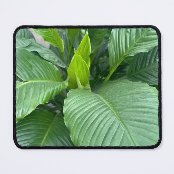 Item preview, Inspire | Nature Photo designed and sold by ShopInspire.