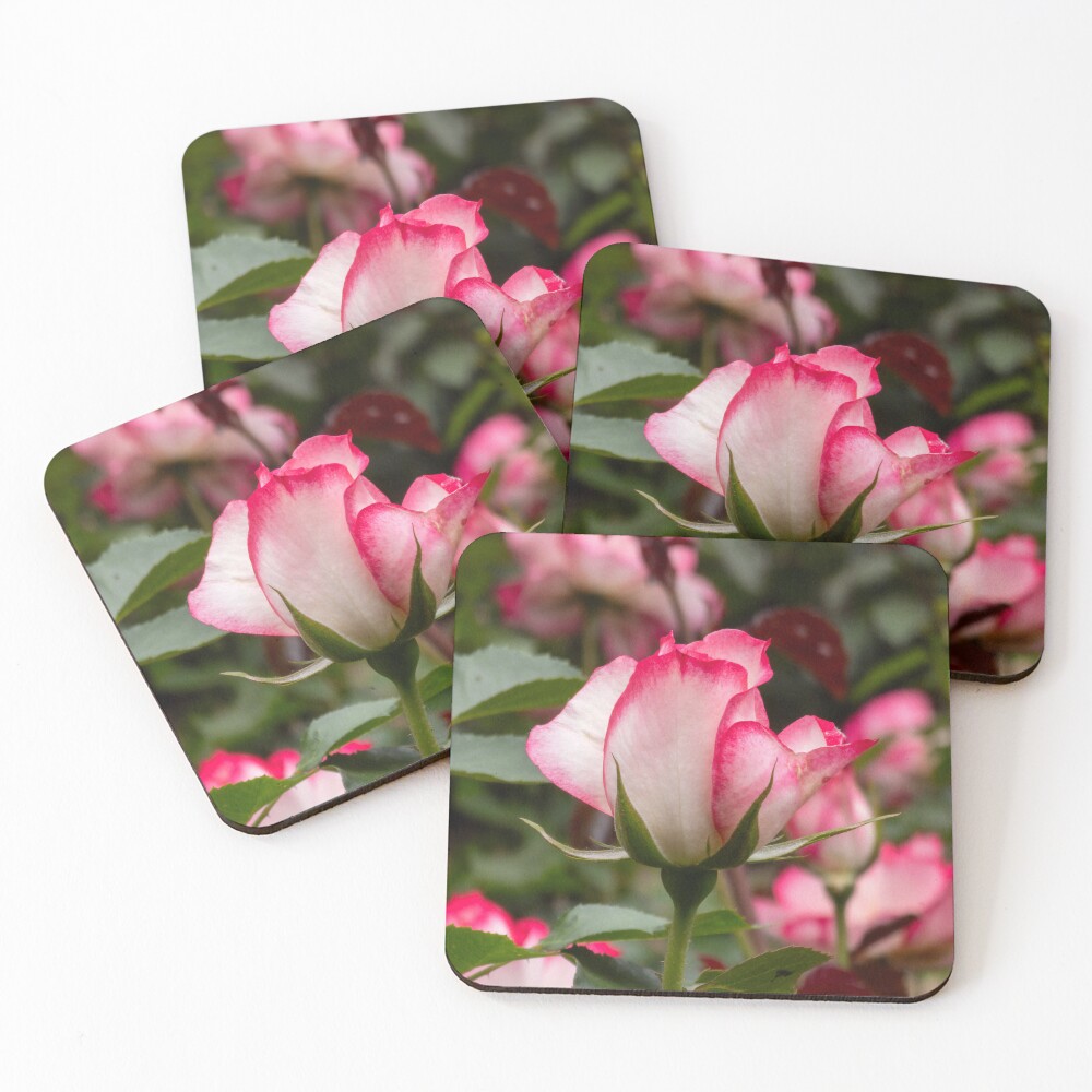 Item preview, Coasters (Set of 4) designed and sold by yunee.