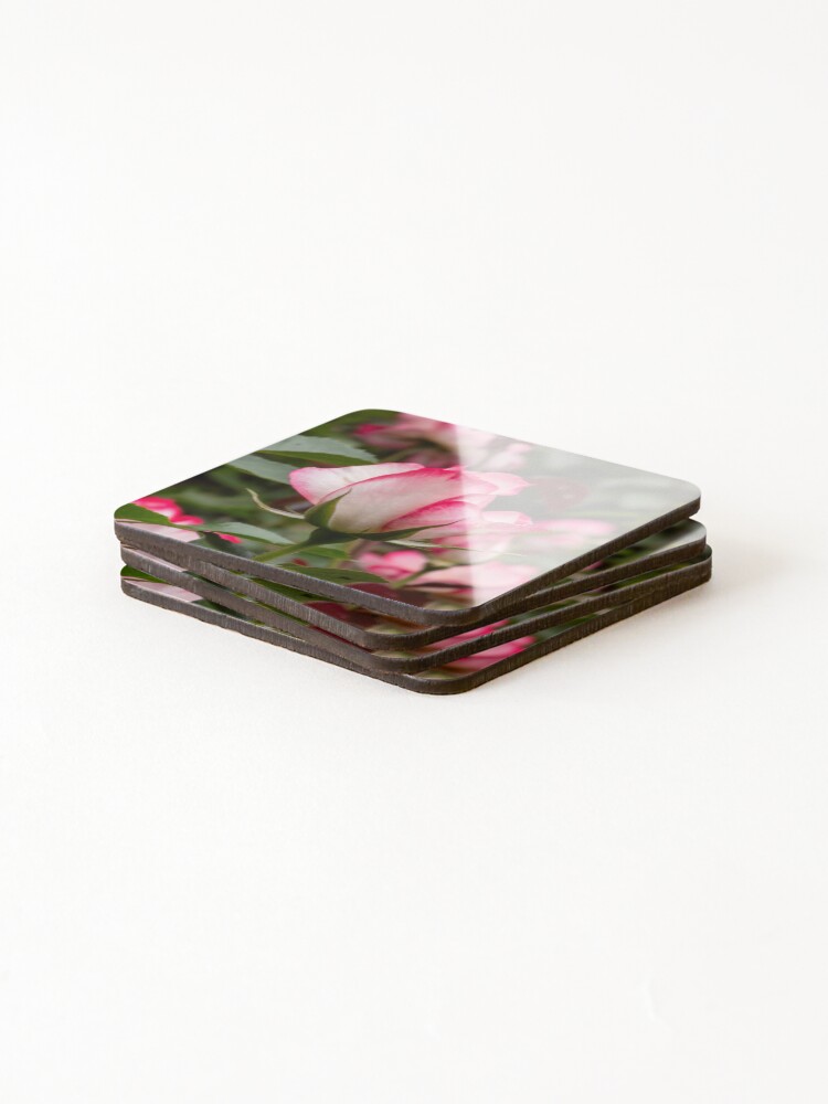 Thumbnail 4 of 5, Coasters (Set of 4), Pink Border Roses designed and sold by yunee.