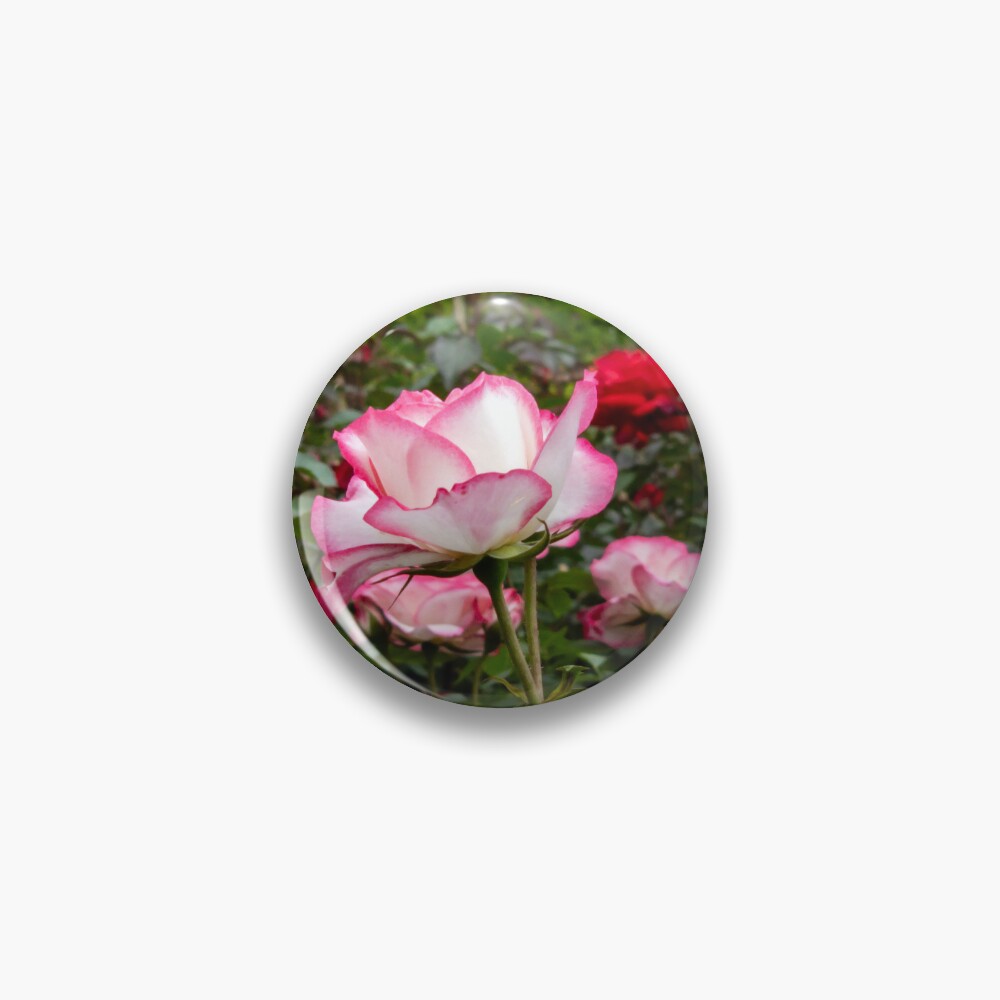 Item preview, Pin designed and sold by yunee.