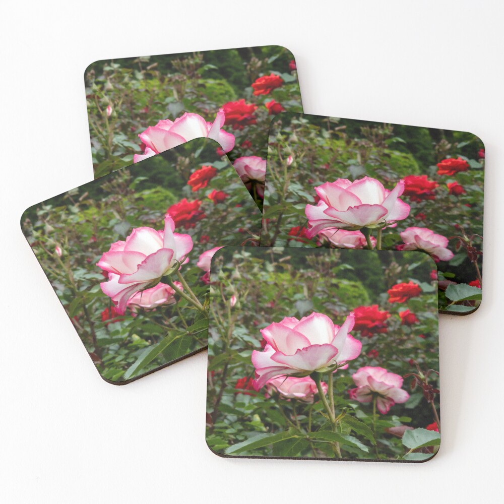 Item preview, Coasters (Set of 4) designed and sold by yunee.