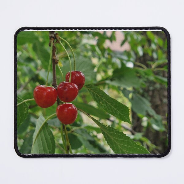Item preview, Cherries 2 designed and sold by andypeat.