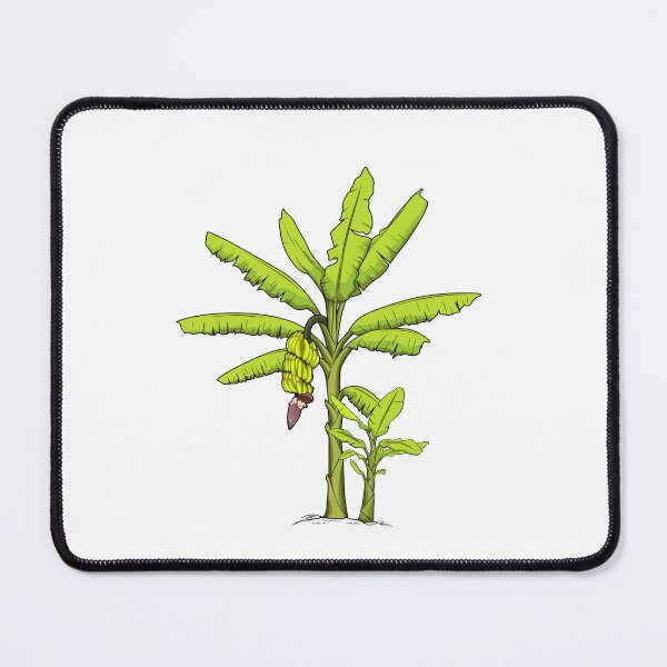 Item preview, Environment campaign - Banana Tree vector art designed and sold by Jagat Satwa.