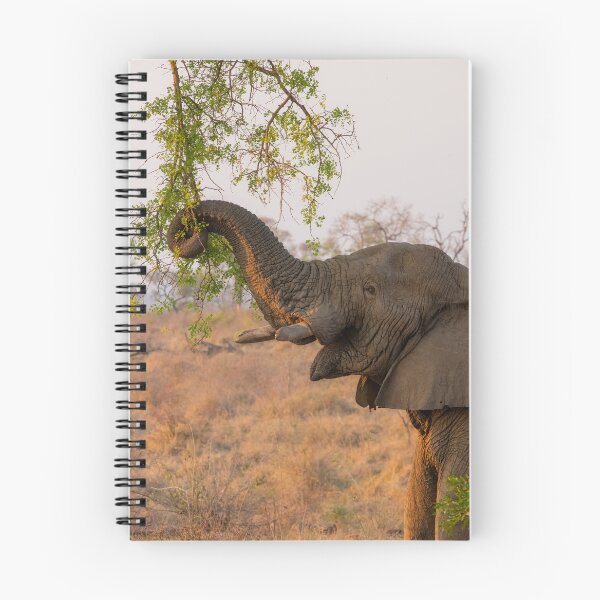 Item preview, Browsing Elephant designed and sold by MyAfricanSafari.