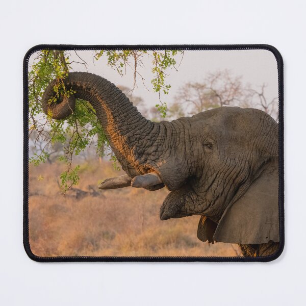Item preview, Browsing Elephant designed and sold by MyAfricanSafari.