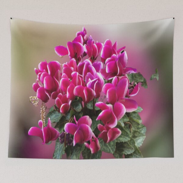 Item preview, Cyclamen: The colourful winter wonders for your home designed and sold by FotoworldEdel.