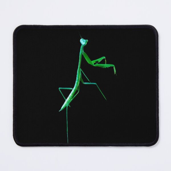 Item preview, PRAYING MANTIS AKA JESUS designed and sold by flora-kitty-art.