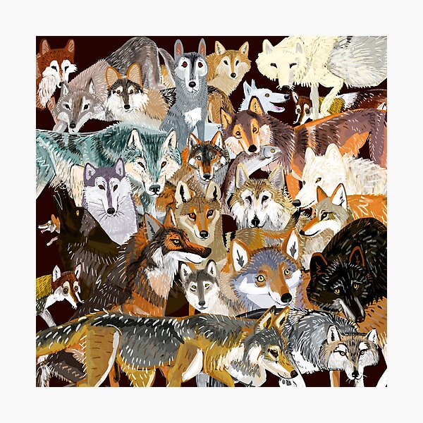 Wolves oclock Time to Wolf Photographic Print