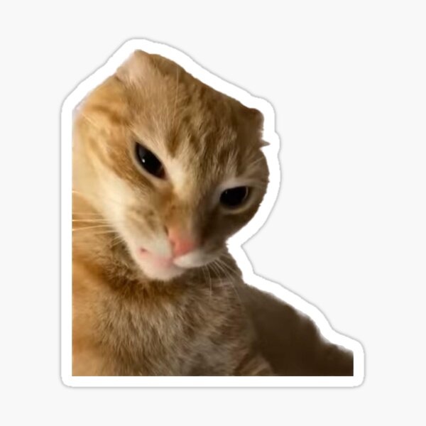 Artikel-Vorschau von Wütendes orangefarbenes Katzenmeme, designt und verkauft von Ratcatdoggg.