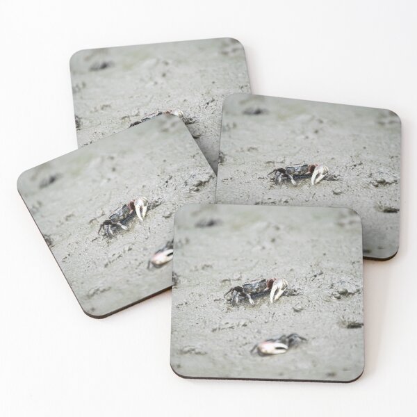 Item preview, Fiddler Crabs in Lady's Island designed and sold by JakeBarkerPhoto.