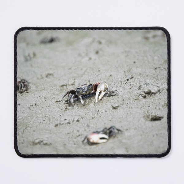 Item preview, Fiddler Crabs in Lady's Island designed and sold by JakeBarkerPhoto.