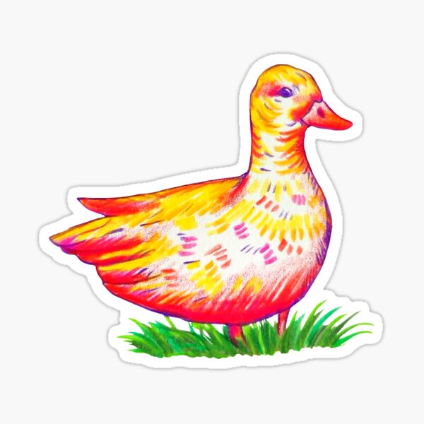 Colorful duck Sticker