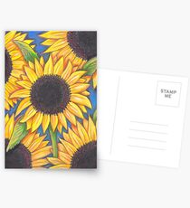 Sunflowers Postcards