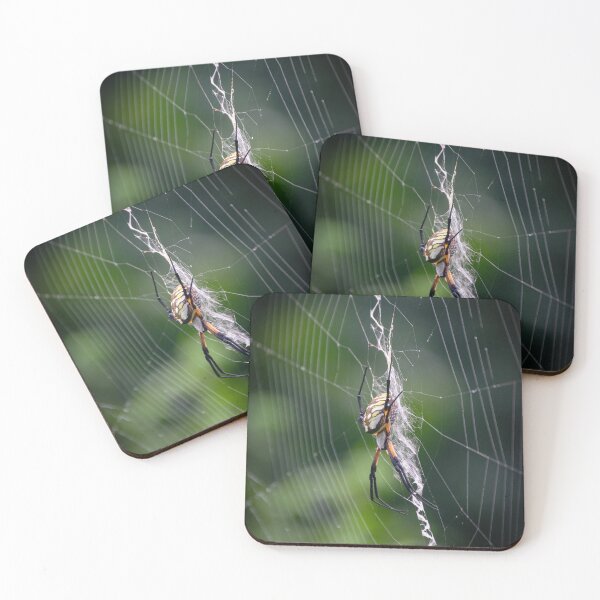Item preview, Orb Weaver designed and sold by JakeBarkerPhoto.