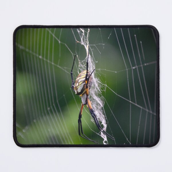 Item preview, Orb Weaver designed and sold by JakeBarkerPhoto.
