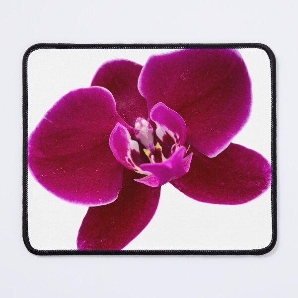 Item preview, ORCHID FROM MY GARDEN designed and sold by flora-kitty-art.