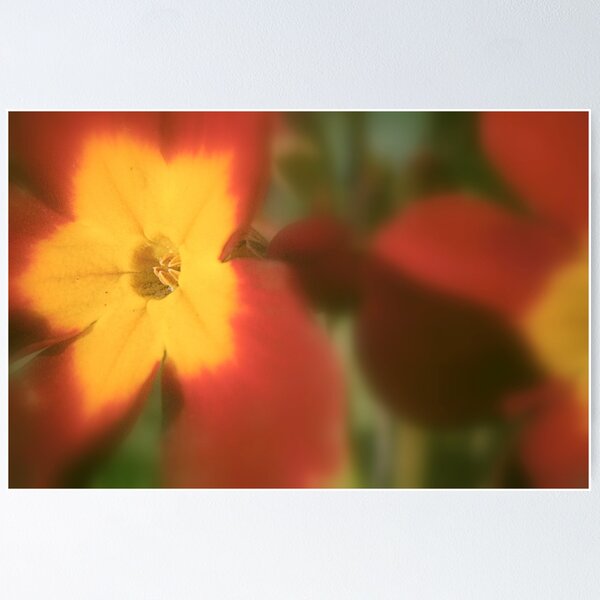 Item preview, soft focus flora designed and sold by dale54.