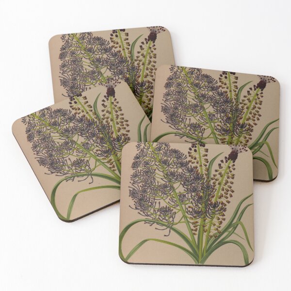 Item preview, Muscari Flower Scientific Vintage Illustration designed and sold by Lacasadellora.