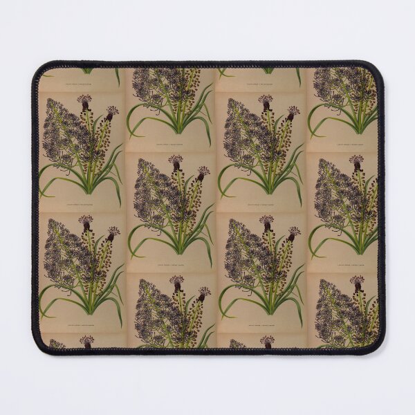 Item preview, Muscari Flower Scientific Vintage Illustration designed and sold by Lacasadellora.