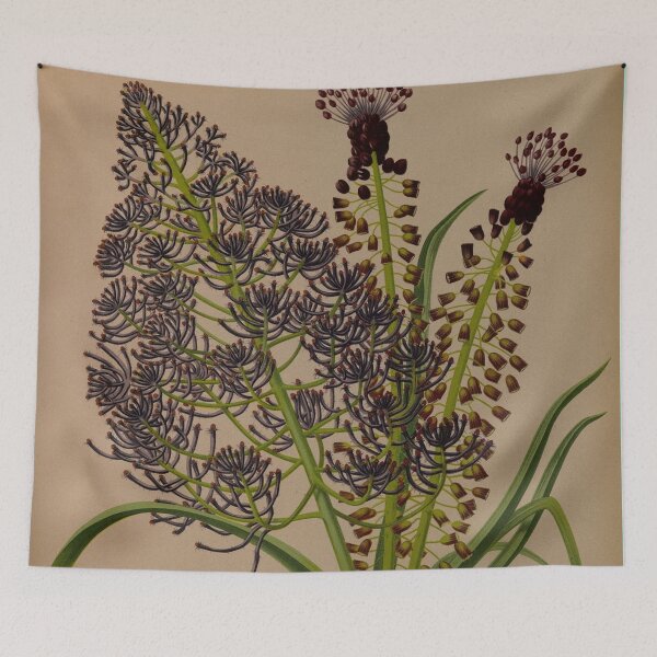 Item preview, Muscari Flower Scientific Vintage Illustration designed and sold by Lacasadellora.