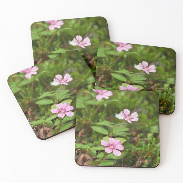 Item preview, Trio. Arctic bramble flowers designed and sold by Jouko Lehto Photography.