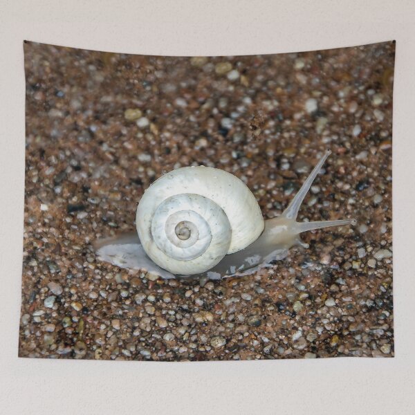 Item preview, Slowly But Surely designed and sold by heatherfriedman.