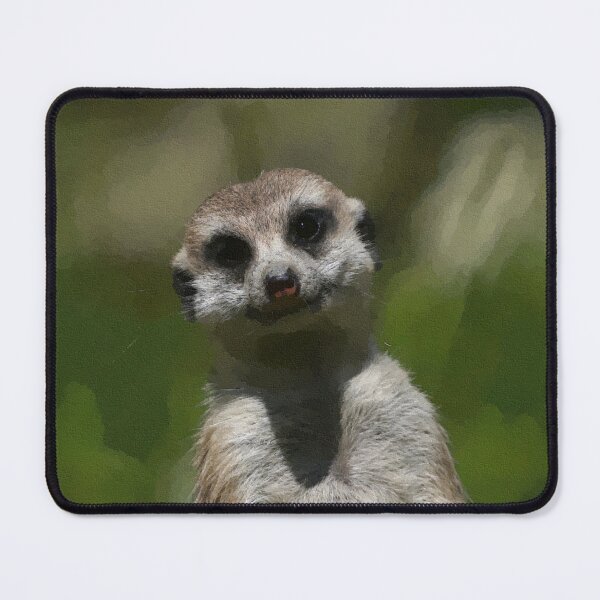 Item preview, Meerkat 064 designed and sold by JAMFoto.