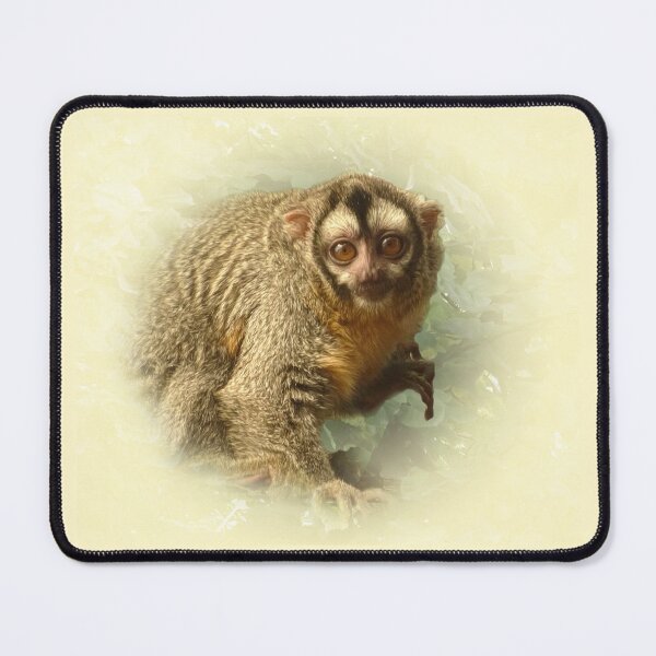 Item preview, Night monkey designed and sold by Guardi71.