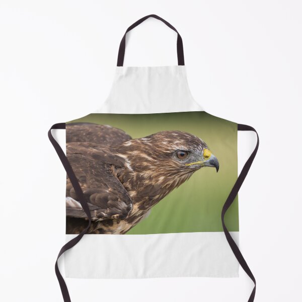 Item preview, Buzzard designed and sold by Nigel R Bell Photography.