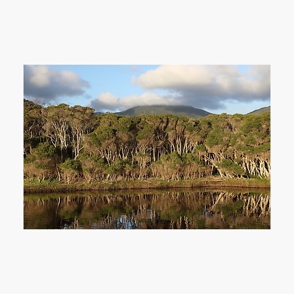 Item preview, Tidal River  designed and sold by Aaron  Kinzer.