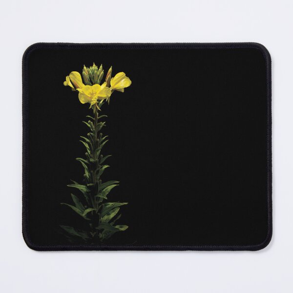 Item preview, Black Background Evening Primrose designed and sold by CurioByNature.