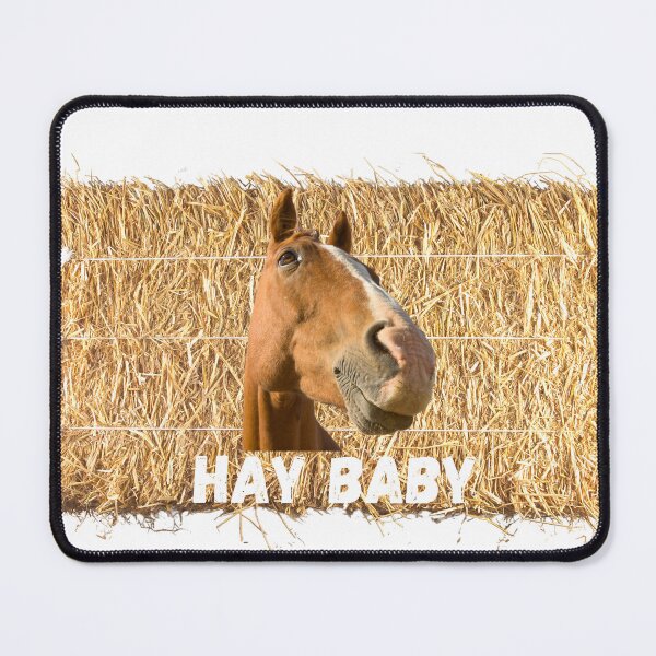 Item preview, Hay Baby Horse Equestrian Funny Cute Talking Horse designed and sold by CBCreations73.