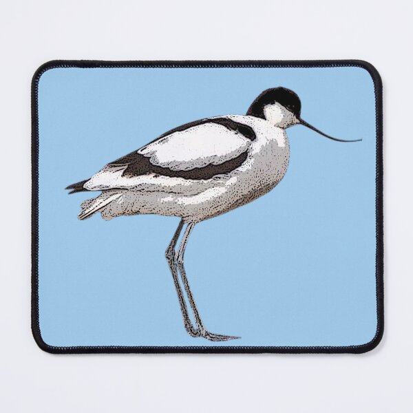 Item preview, Pied Avocet Color Design  designed and sold by designsasstultd.