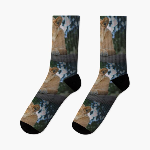 Item preview, Lioness  designed and sold by Savannah Gibbs.