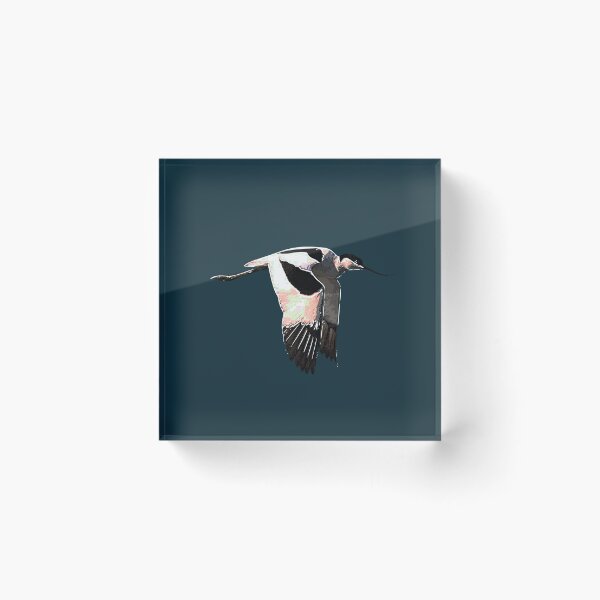 Item preview, Pied Avocet Flying White Alternate Design  designed and sold by designsasstultd.