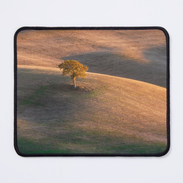 Item preview, Lonely tree in Val d'Orcia and the last lights of the sunset. Tuscany designed and sold by Stefano Orazzini.