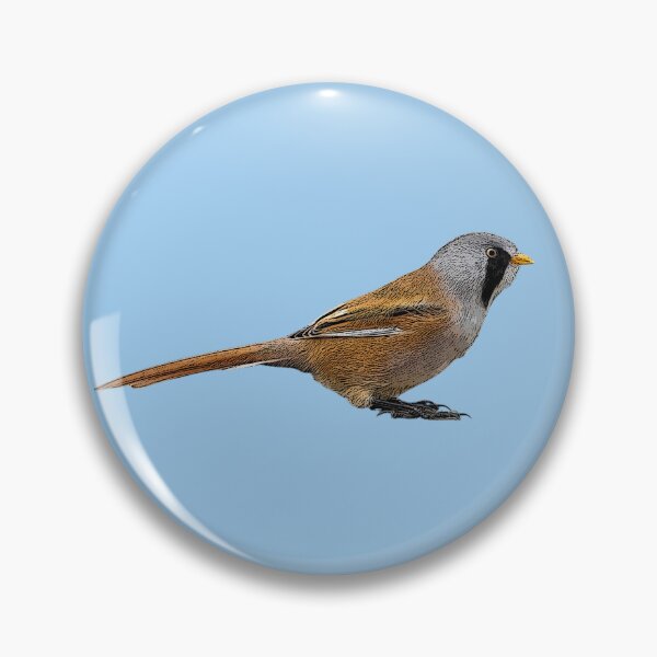 Item preview, Bearded Reedling Color Design  designed and sold by designsasstultd.