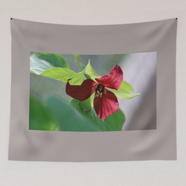 Item preview, Red Trillium designed and sold by T.J. Martin.