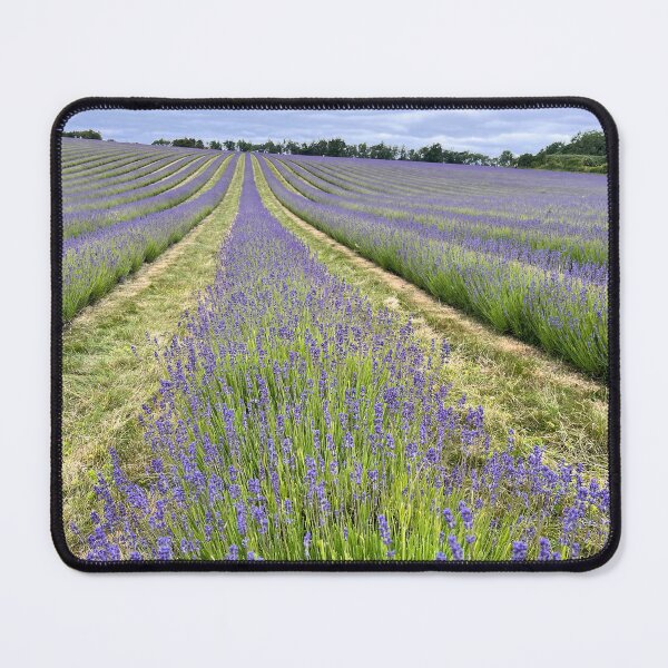 Item preview, Purple Fields designed and sold by Nicola Morgan.