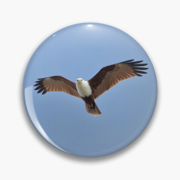 Item preview, Brahminy Kite in flight designed and sold by Mark Grimsley.